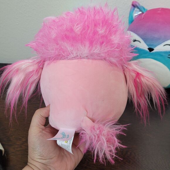 Squishmallows Plush Lot of 4 Fox Poodle Jerry Hedgehog Pig Kellytoy Original - Picture 7 of 11